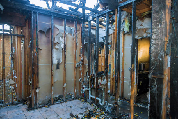 Professional Fire Damage Removal technician working in Zimmerman, MN