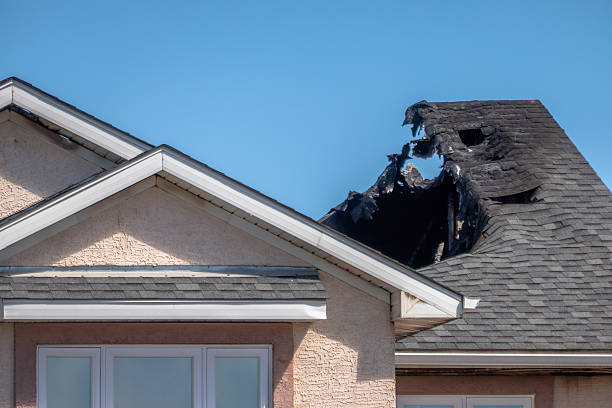 Top rated local Fire Damage Removal specialists in Zimmerman, MN