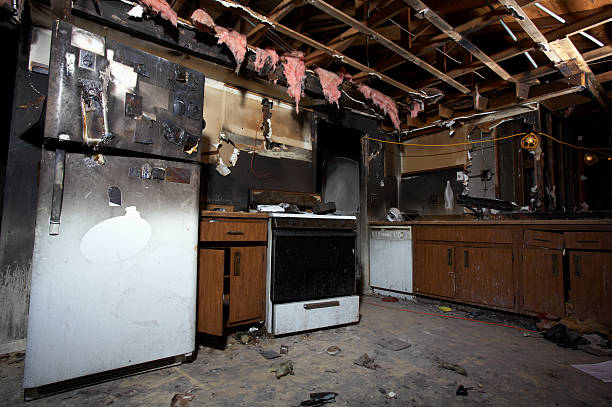 Licensed Fire Damage Removal service in Zimmerman, MN - Fire Damage Flint